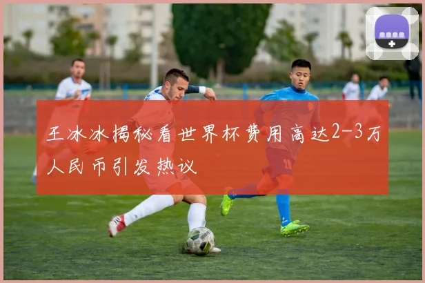 王冰冰揭秘看世界杯费用高达2-3万人民币引发热议